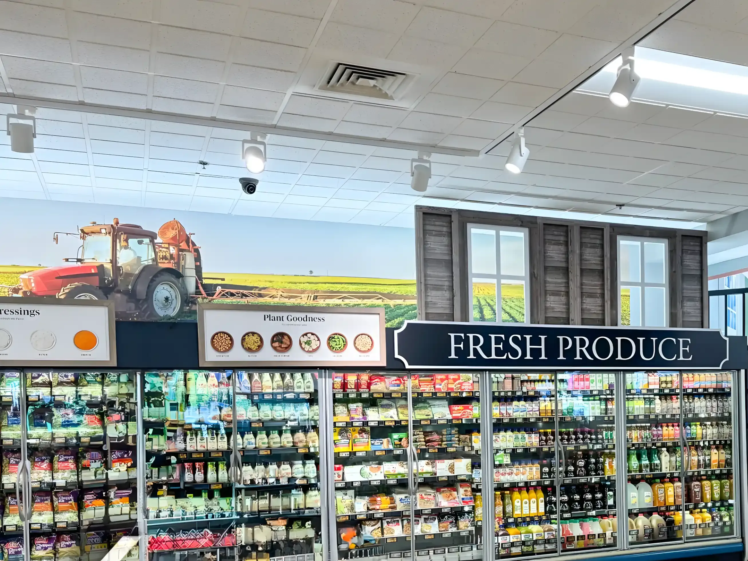 Commercial Painting